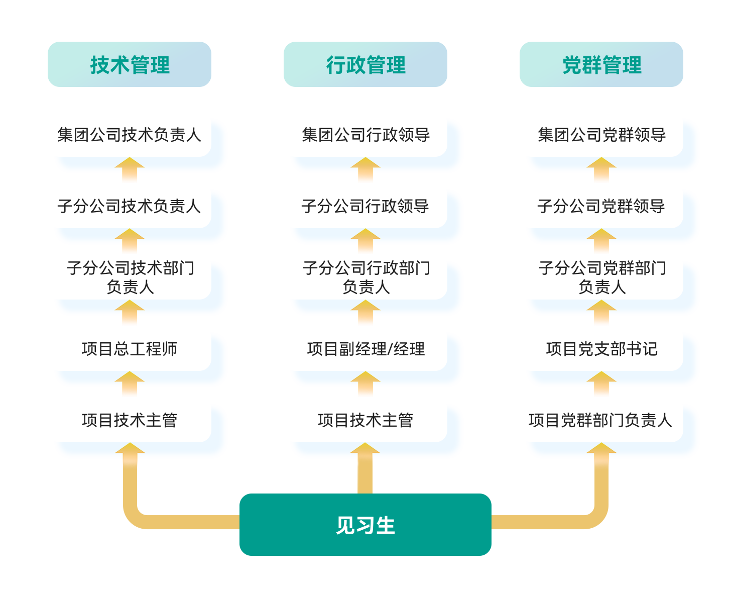 職業(yè)路徑